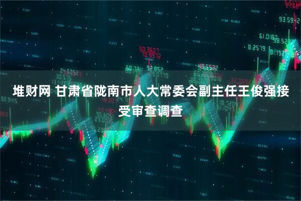 堆财网 甘肃省陇南市人大常委会副主任王俊强接受审查调查