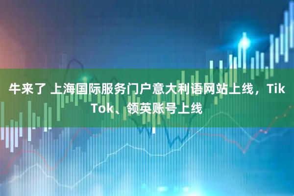 牛来了 上海国际服务门户意大利语网站上线，TikTok、领英账号上线