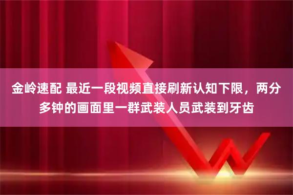 金岭速配 最近一段视频直接刷新认知下限，两分多钟的画面里一群武装人员武装到牙齿