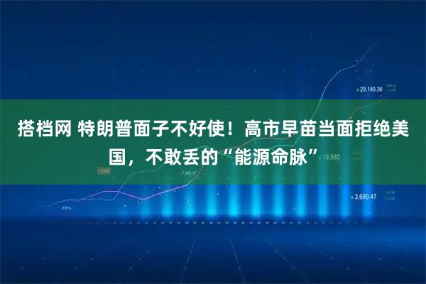 搭档网 特朗普面子不好使！高市早苗当面拒绝美国，不敢丢的“能源命脉”
